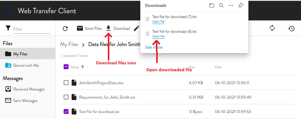 Download Files