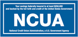 Visit ncua.gov. (opens in a new tab)